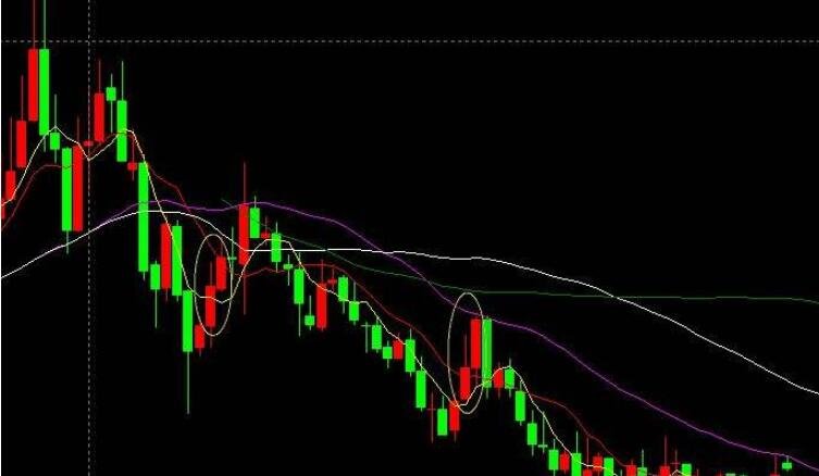 晋江推出人才政策“礼包” 15条措施靶向吸引海外英才
